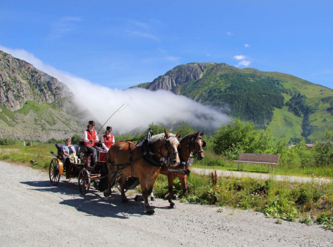 91_FVA Andermatt_Pferdekutsche_Sommer